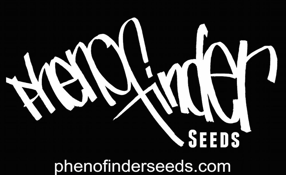 Phenofinders Seeds