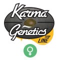 Karma Genetics Terp line